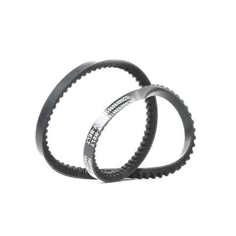 Ridex 10C0006 V-Belt