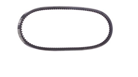Ridex 10C0035 V-Belt