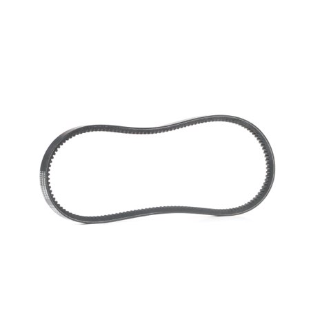 Ridex 10C0036 V-Belt
