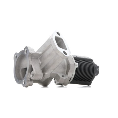 Ridex 1145E0169 EGR Valve