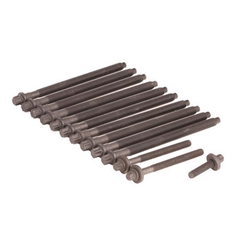 Ridex 1217B0010 Bolt Kit, Cylinder Head, photo 2