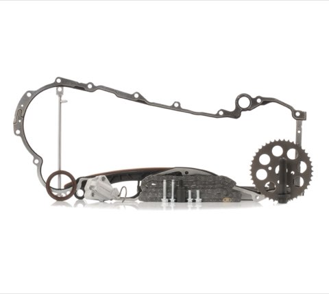 Ridex 1389T0002 Timing Chain Kit