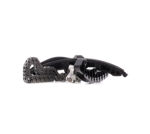 Ridex 1389T0006 Timing Chain Kit