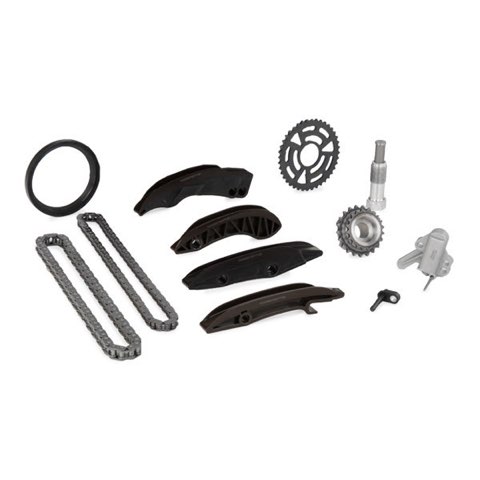 Ridex 1389T0033 Timing Chain Kit, photo 2