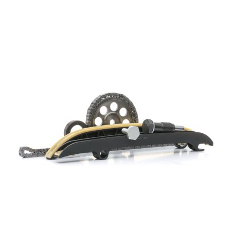 Ridex 1389T0171 Timing Chain Kit