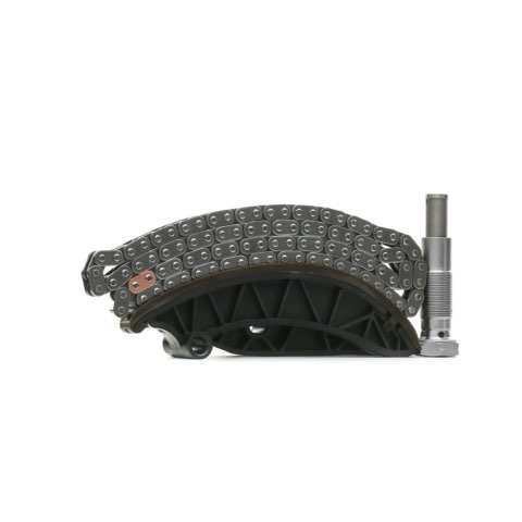 Ridex 1389T0245 Timing Chain Kit
