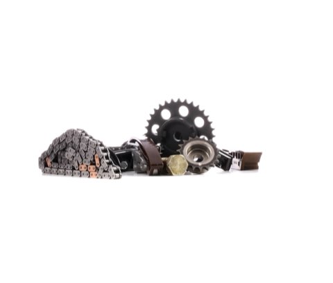 Ridex 1389T0253 Timing Chain Kit