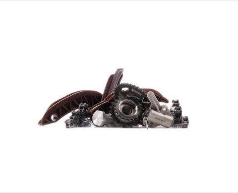 Ridex 1389T0254 Timing Chain Kit