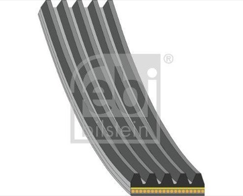 Febi Bilstein 181286 Serpentine Belt, photo 2