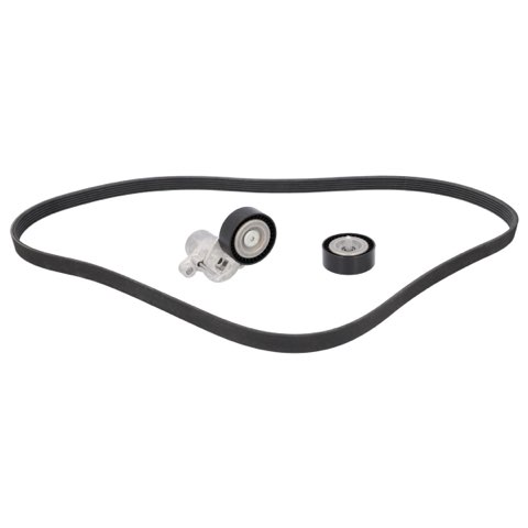 Febi Bilstein 184895 V-Ribbed Belt Set