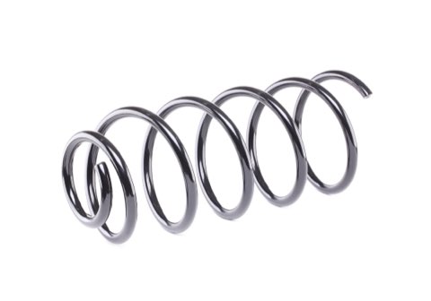 Ridex 188C0002 Coil Spring