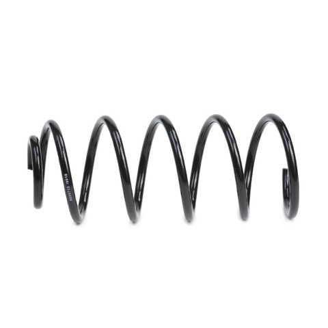 Ridex 188C0002 Coil Spring, photo 3