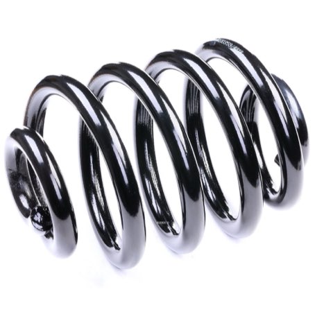 Ridex 188C0003 Coil Spring