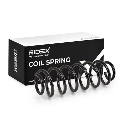 Ridex 188C0004 Coil Spring, photo 2