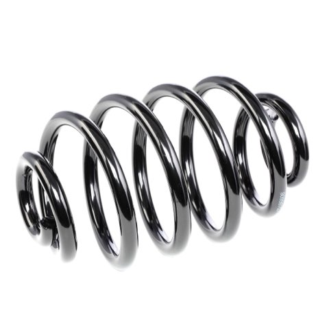 Ridex 188C0005 Coil Spring