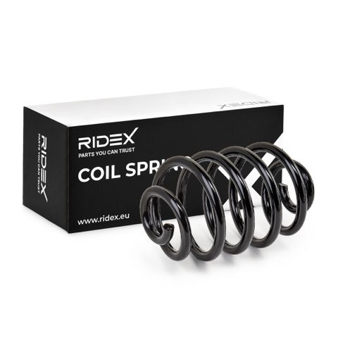 Ridex 188C0005 Coil Spring, photo 2