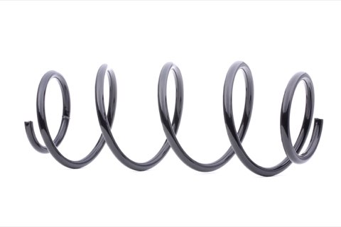 Ridex 188C0006 Coil Spring
