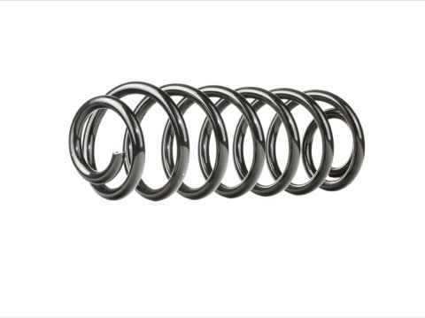 Ridex 188C0007 Coil Spring