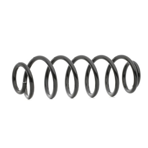 Ridex 188C0009 Coil Spring