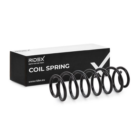 Ridex 188C0009 Coil Spring, photo 2