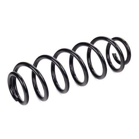 Ridex 188C0009 Coil Spring, photo 3
