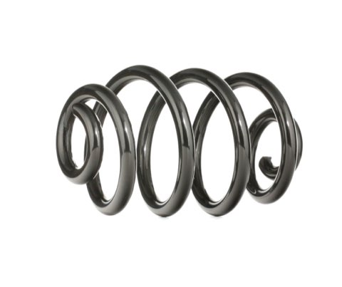 Ridex 188C0011 Coil Spring
