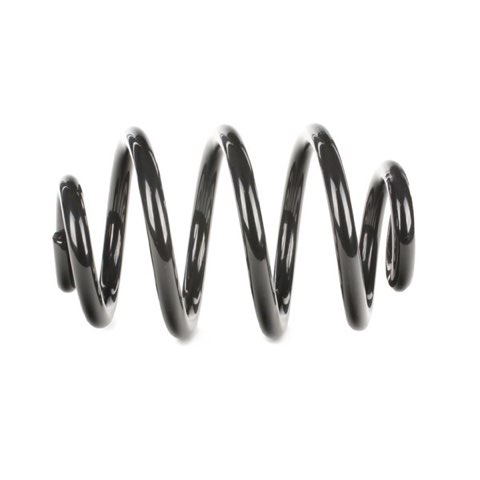 Ridex 188C0011 Coil Spring, photo 3