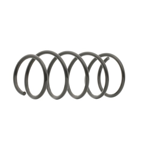 Ridex 188C0013 Coil Spring