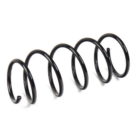 Ridex 188C0013 Coil Spring, photo 3