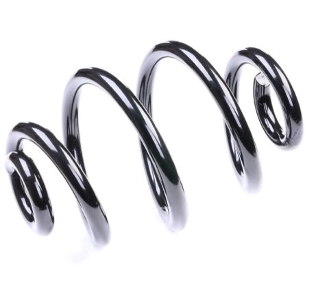 Ridex 188C0014 Coil Spring