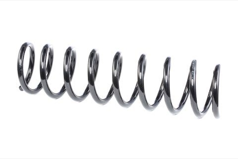 Ridex 188C0015 Coil Spring