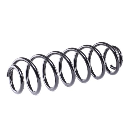 Ridex 188C0016 Coil Spring