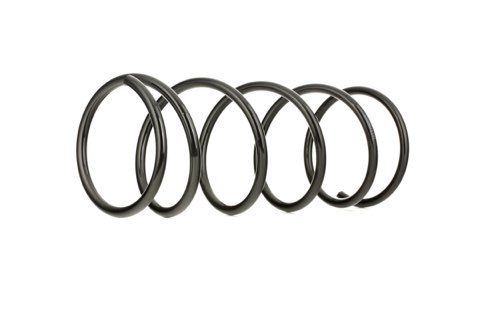 Ridex 188C0018 Coil Spring