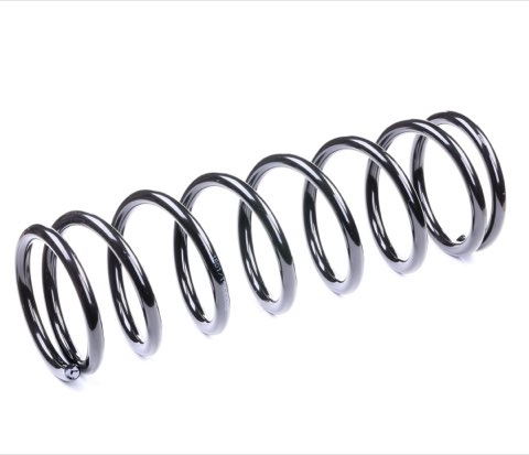Ridex 188C0022 Coil Spring