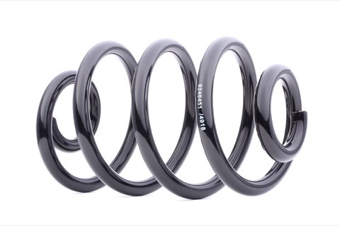 Ridex 188C0025 Coil Spring