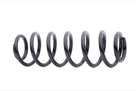 Ridex 188C0026 Coil Spring