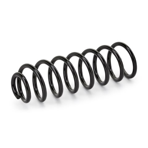 Ridex 188C0031 Coil Spring, photo 3