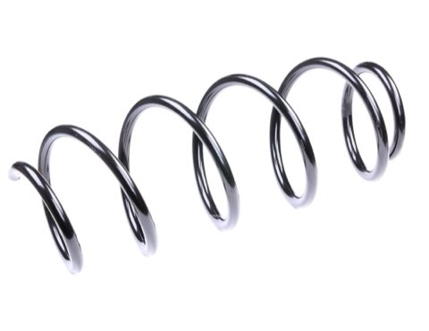 Ridex 188C0034 Coil Spring