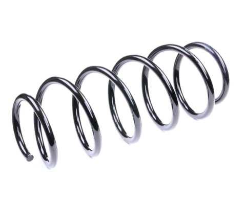 Ridex 188C0038 Coil Spring