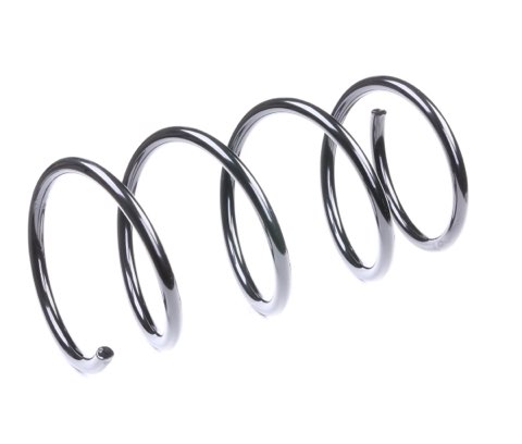 Ridex 188C0041 Coil Spring