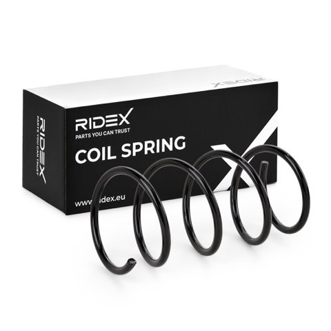Ridex 188C0041 Coil Spring, photo 2