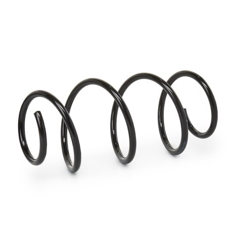 Ridex 188C0042 Coil Spring, photo 2
