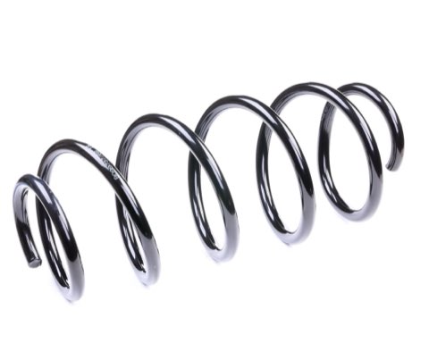 Ridex 188C0049 Coil Spring