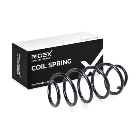 Ridex 188C0049 Coil Spring, photo 2