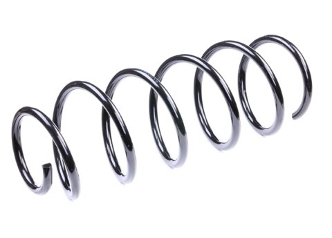 Ridex 188C0050 Coil Spring
