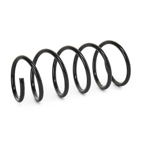 Ridex 188C0051 Coil Spring, photo 3