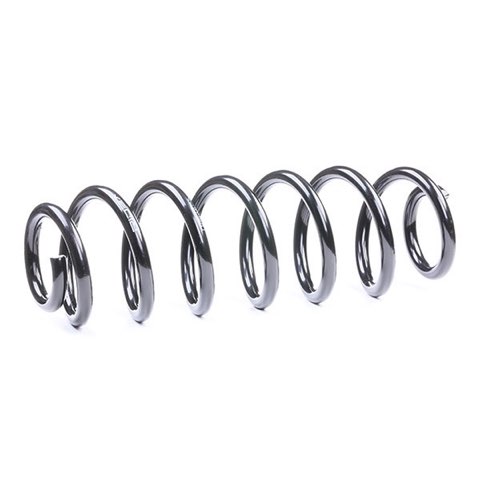 Ridex 188C0056 Coil Spring, photo 2