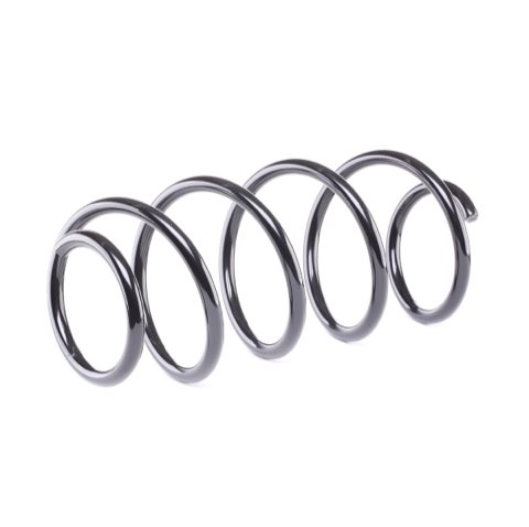 Ridex 188C0059 Coil Spring