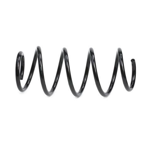 Ridex 188C0059 Coil Spring, photo 3