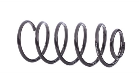 Ridex 188C0060 Coil Spring